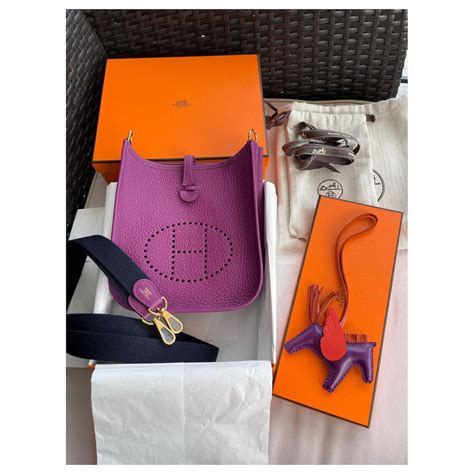 hermes taschen evelyn